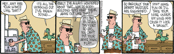 Monty on Wednesday January 14, 2009 Comic Strip