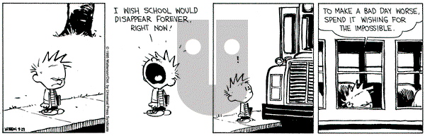 Calvin and Hobbes on Friday September 29, 1995 Comic Strip