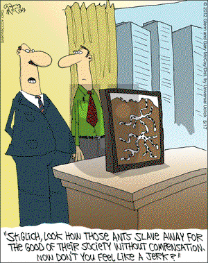 The Flying McCoys on Thursday May 17, 2012 Comic Strip