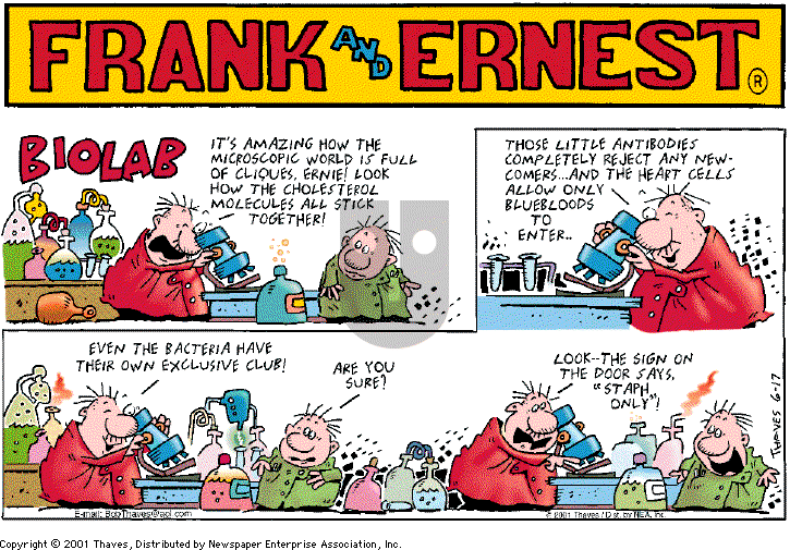 Frank and Ernest on Sunday June 17, 2001 Comic Strip
