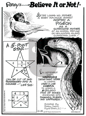 Ripley's Believe It or Not on Wednesday November 14, 2007 Comic Strip