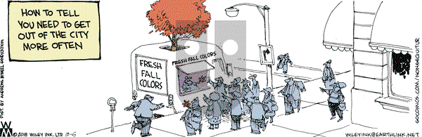 Non Sequitur - Friday October 5, 2018 Comic Strip