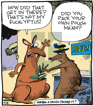 Reality Check on Thursday September 18, 2014 Comic Strip