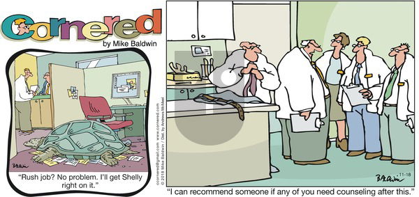 Cornered on Sunday November 18, 2018 Comic Strip