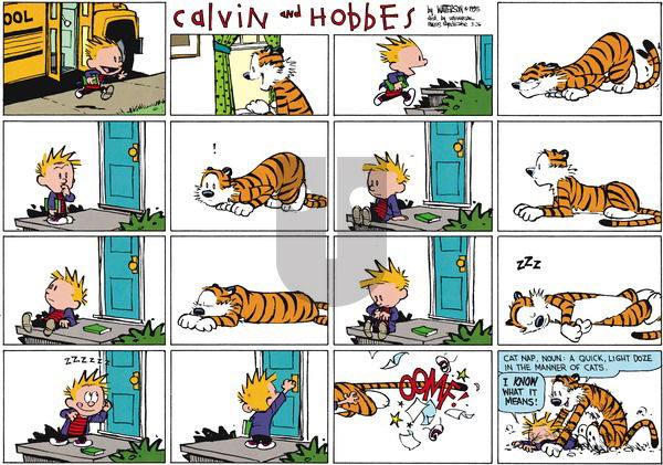 Calvin and Hobbes on Sunday March 26, 1995 Comic Strip