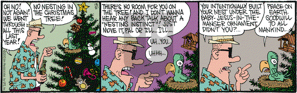 Monty on Tuesday December 21, 2010 Comic Strip