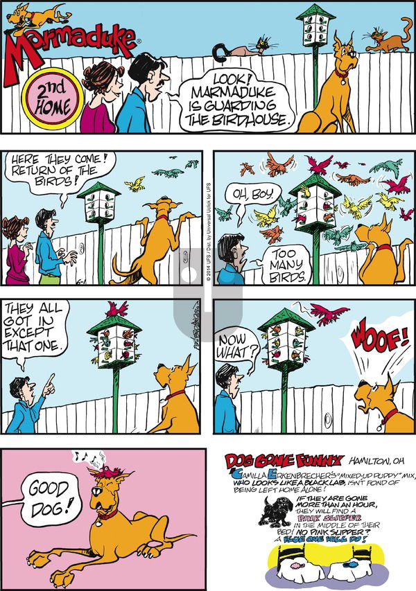 Marmaduke on Sunday June 1, 2014 Comic Strip
