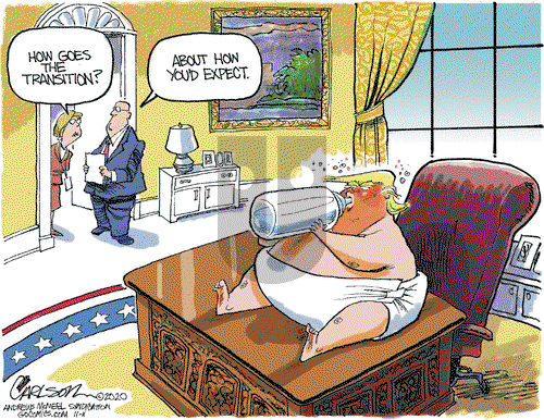 Stuart Carlson on Wednesday November 11, 2020 Comic Strip