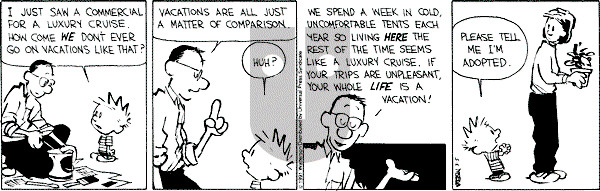 Calvin and Hobbes - Tuesday March 5, 1991 Comic Strip