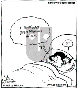 Kit 'N' Carlyle on Wednesday July 26, 2006 Comic Strip