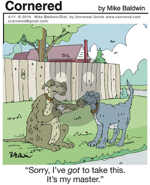 Cornered on Saturday June 11, 2016 Comic Strip