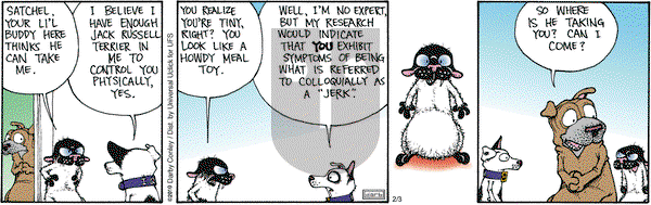 Get Fuzzy on Friday February 3, 2012 Comic Strip