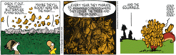 Over the Hedge on Monday September 19, 2011 Comic Strip