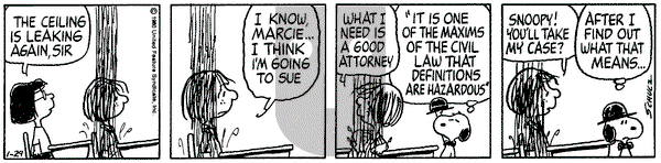 Peanuts on Tuesday January 29, 1980 Comic Strip