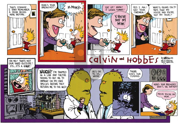 Calvin and Hobbes on Sunday February 8, 2015 Comic Strip