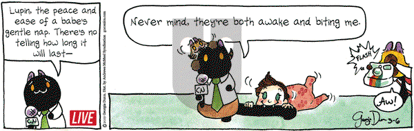 Breaking Cat News on Wednesday March 6, 2019 Comic Strip
