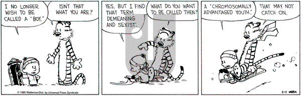 Calvin and Hobbes on Friday February 17, 1995 Comic Strip