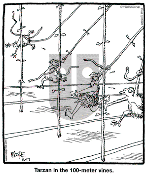 In the Bleachers on Wednesday June 17, 1998 Comic Strip