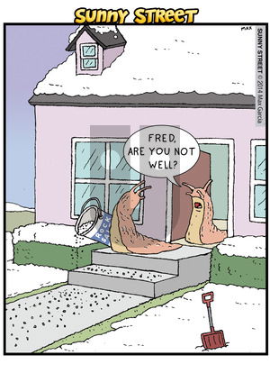 Sunny Street on Monday February 10, 2014 Comic Strip