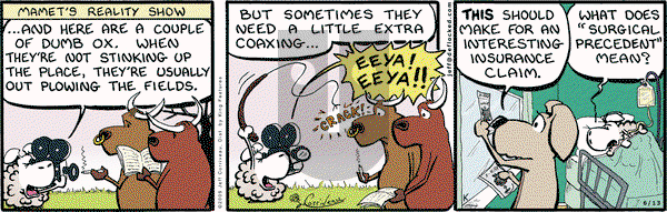DeFlocked on Saturday June 13, 2009 Comic Strip