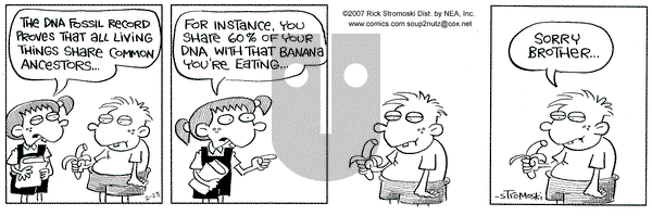 Soup to Nutz - Old on Wednesday February 28, 2007 Comic Strip