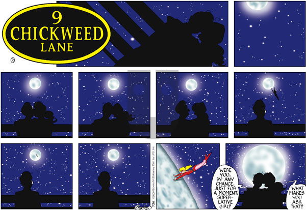 9 Chickweed Lane on Sunday July 26, 2009 Comic Strip