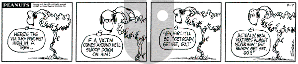 Peanuts on Monday August 7, 1967 Comic Strip