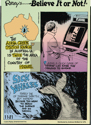 Ripley's Believe It or Not on Wednesday November 21, 2018 Comic Strip