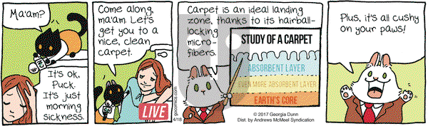 Breaking Cat News on Tuesday April 18, 2017 Comic Strip