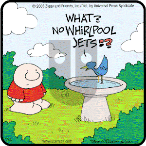 Ziggy - Wednesday February 12, 2003 Comic Strip
