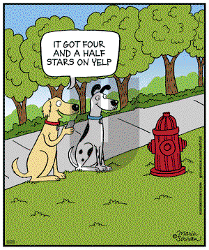Half Full on Thursday June 26, 2014 Comic Strip