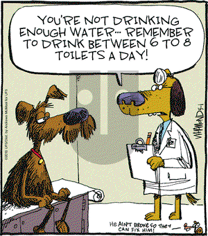 Reality Check on Tuesday May 1, 2018 Comic Strip