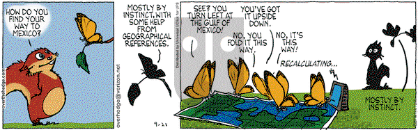 Over the Hedge on Wednesday September 21, 2011 Comic Strip