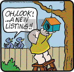 Ziggy on Wednesday May 26, 2021 Comic Strip