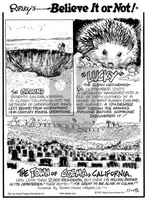Ripley's Believe It or Not on Thursday November 15, 2007 Comic Strip