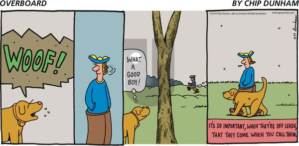 Overboard on Sunday December 29, 2019 Comic Strip