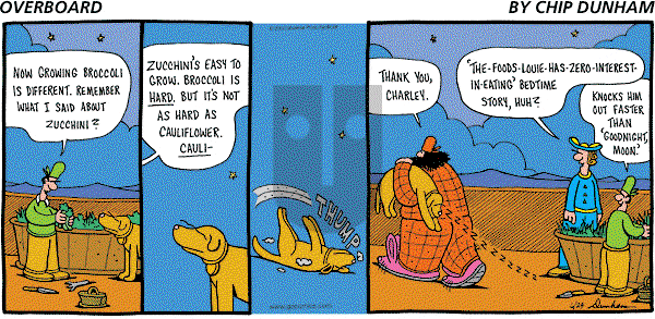 Overboard - Sunday June 24, 2007 Comic Strip