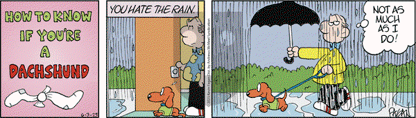 Drabble on Tuesday June 3, 2025 Comic Strip