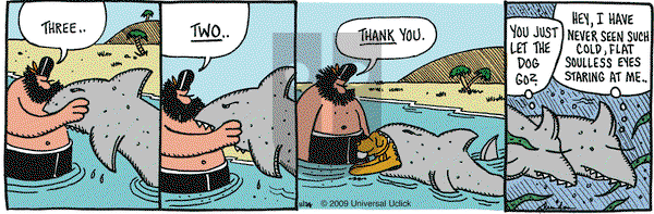 Overboard on Tuesday November 24, 2009 Comic Strip