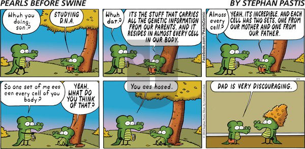 Pearls Before Swine on Sunday September 14, 2014 Comic Strip