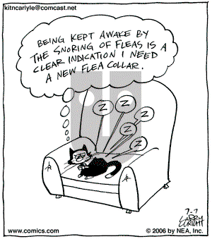Kit 'N' Carlyle on Friday July 7, 2006 Comic Strip