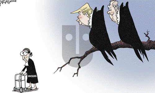 Robert Ariail on Friday November 9, 2018 Comic Strip