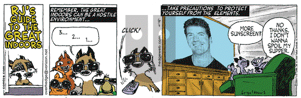 Over the Hedge on Wednesday June 7, 2006 Comic Strip
