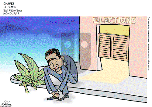 ViewsLatinAmerica on Sunday November 14, 2010 Comic Strip