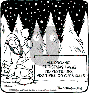 Ziggy on Tuesday December 5, 1995 Comic Strip