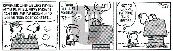 Peanuts - Thursday January 26, 1989 Comic Strip