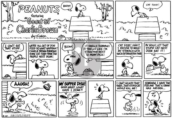 Peanuts on Sunday August 25, 1968 Comic Strip