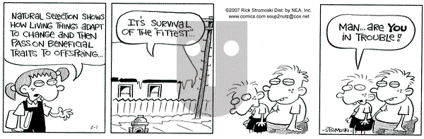 Soup to Nutz - Old on Thursday March 1, 2007 Comic Strip