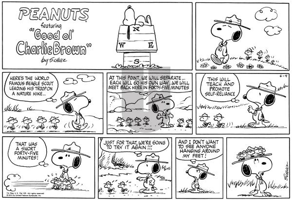 Peanuts on Sunday June 9, 1974 Comic Strip