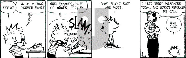 Calvin and Hobbes - Wednesday June 9, 1993 Comic Strip